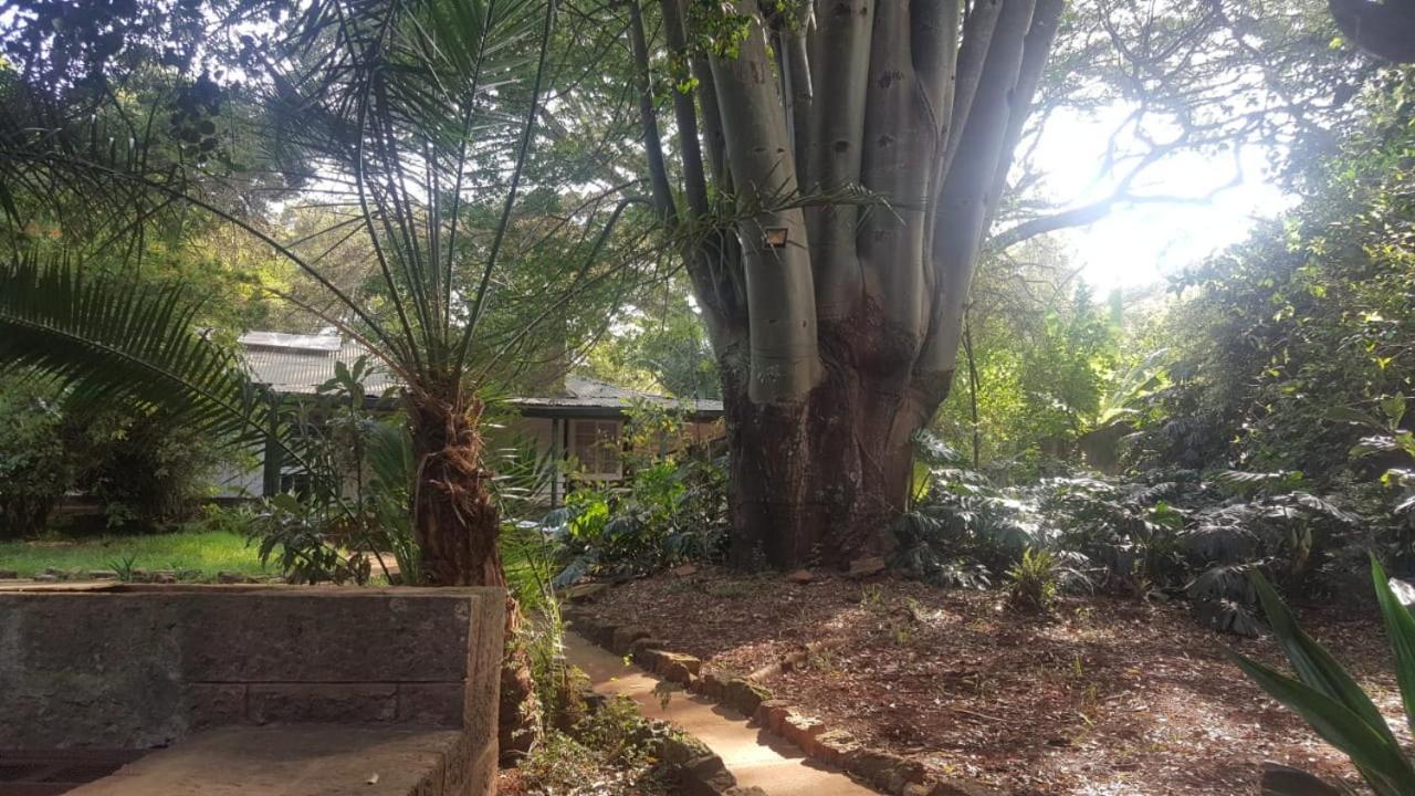 The Cottage-Place Of Grace 2Bdrm And Loft Bed All 4U At Usd58 Nairobi Exterior photo