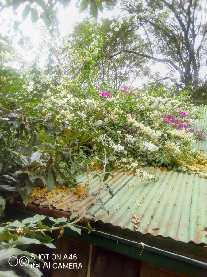 The Cottage-Place Of Grace 2Bdrm And Loft Bed All 4U At Usd58 Nairobi Exterior photo